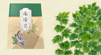 【行業(yè)資訊】國(guó)內(nèi)首部艾草專著《南陽艾》，在南陽新書首發(fā)！